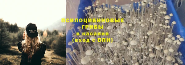 ешки Ельня