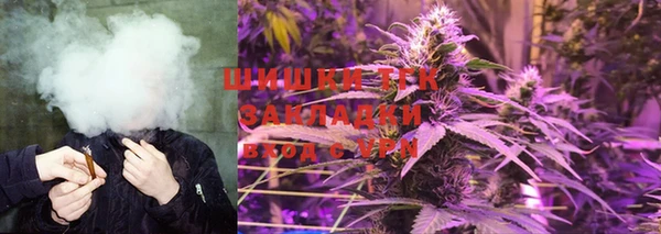 ешки Ельня