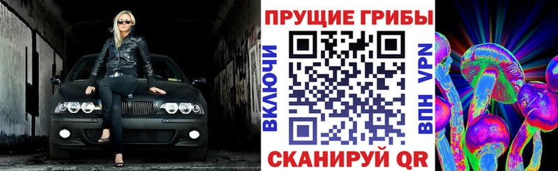 Купить закладки  Муром  Псилоцибиновые грибы Psilocybine cubensis 